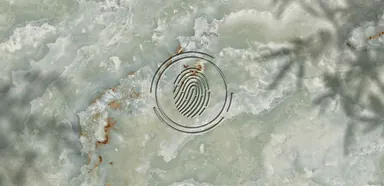 Privacy Policy Page Banner